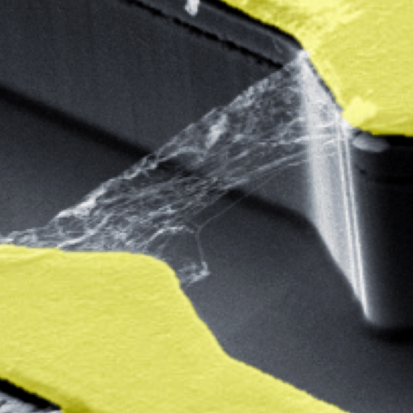 Carbonnanotubes as Ultrafast Photodetectors